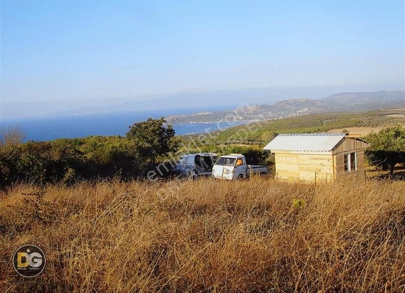 Bursa Mudanya Söğütpınar Köyünde Satılık Tarla - Görsel 3
