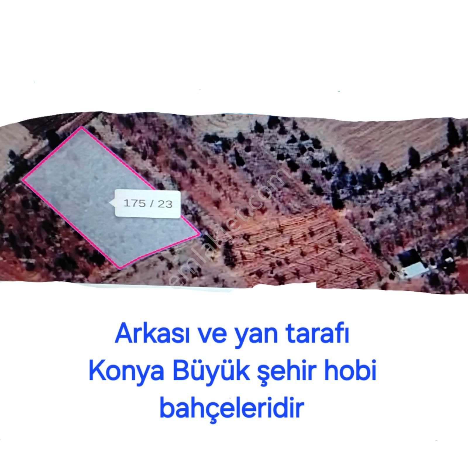 Konya Akören Ağalarda Üzerine Ev Yapılır Elek Su Mevcutsatlık Tarla