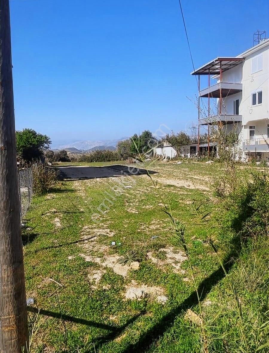 Yol Cepheli Satılık Tarla