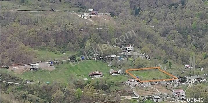 Bursa Nilufer Maksem Tepe Pinari (43)+