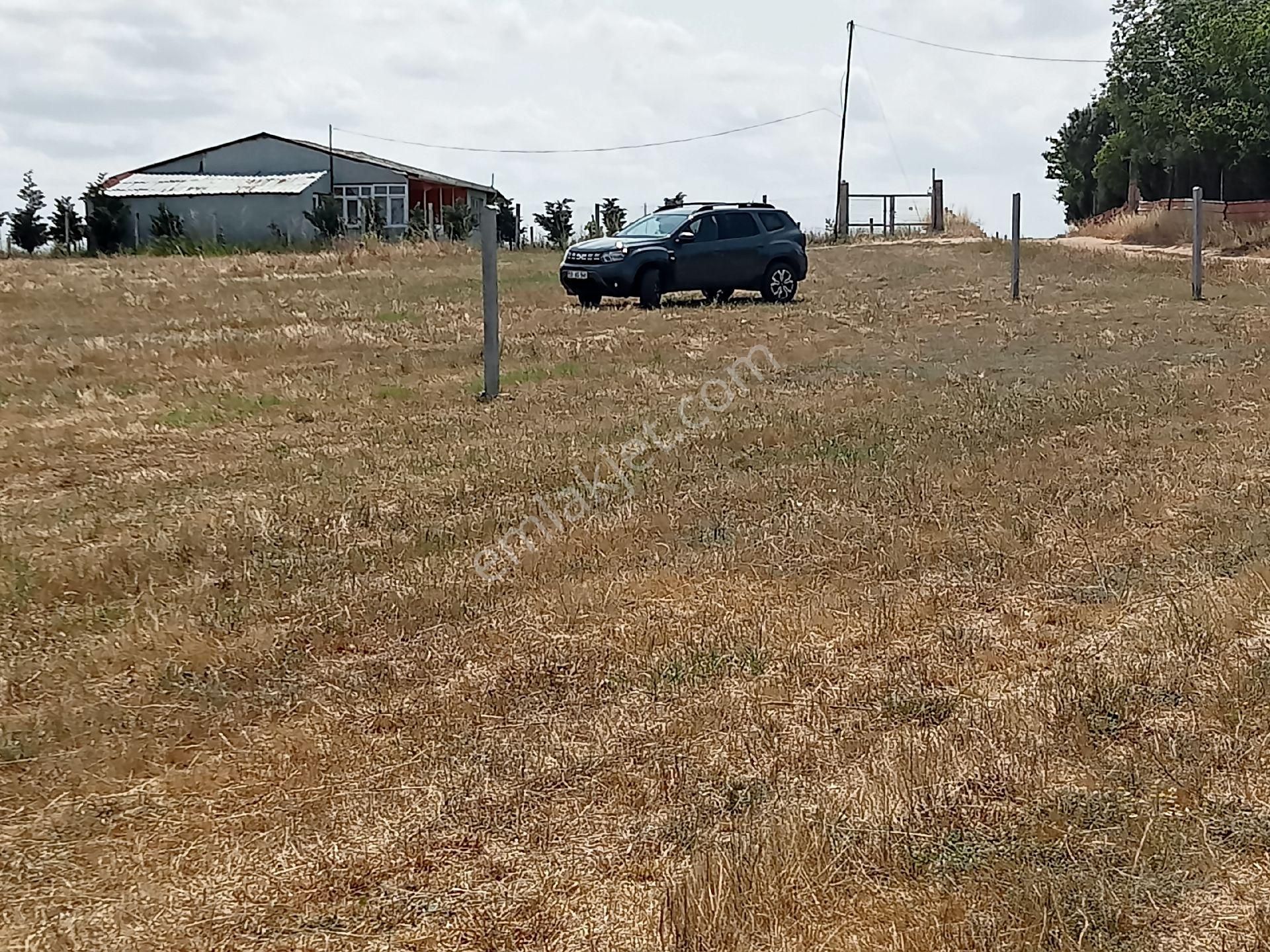 Tekirdağ Saray Göçerler Köyü Mahalle İçi İmar İçi 250 M2 Parsellerimiz Satışta