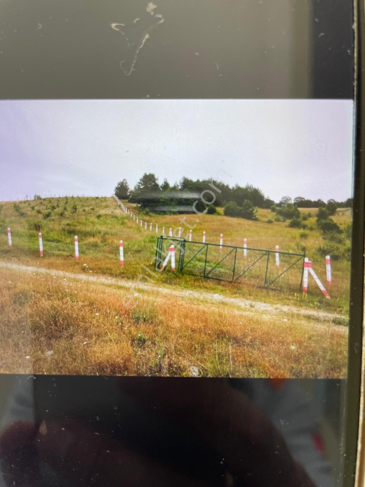 Kaçmaz Emlak'tan Bilecik Yenipazarda Satılık 2.862m2. Bahçe - Görsel 2