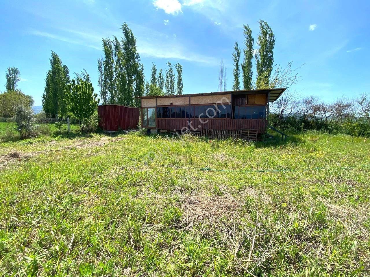 🟡🟠aktif'ten Börezlide İçerisinde Tiny House Olan 6250m2 Satılık Tarla 🟡🟠