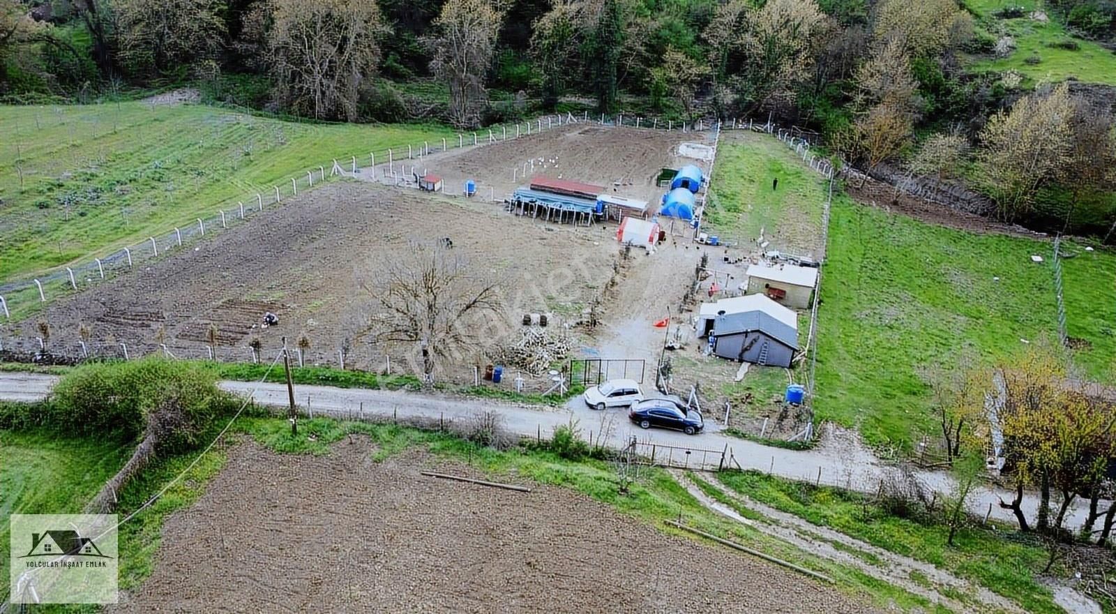 Karamürsel Akçat'da Satılık 5217m2 %5 İmarlı Çiftlik