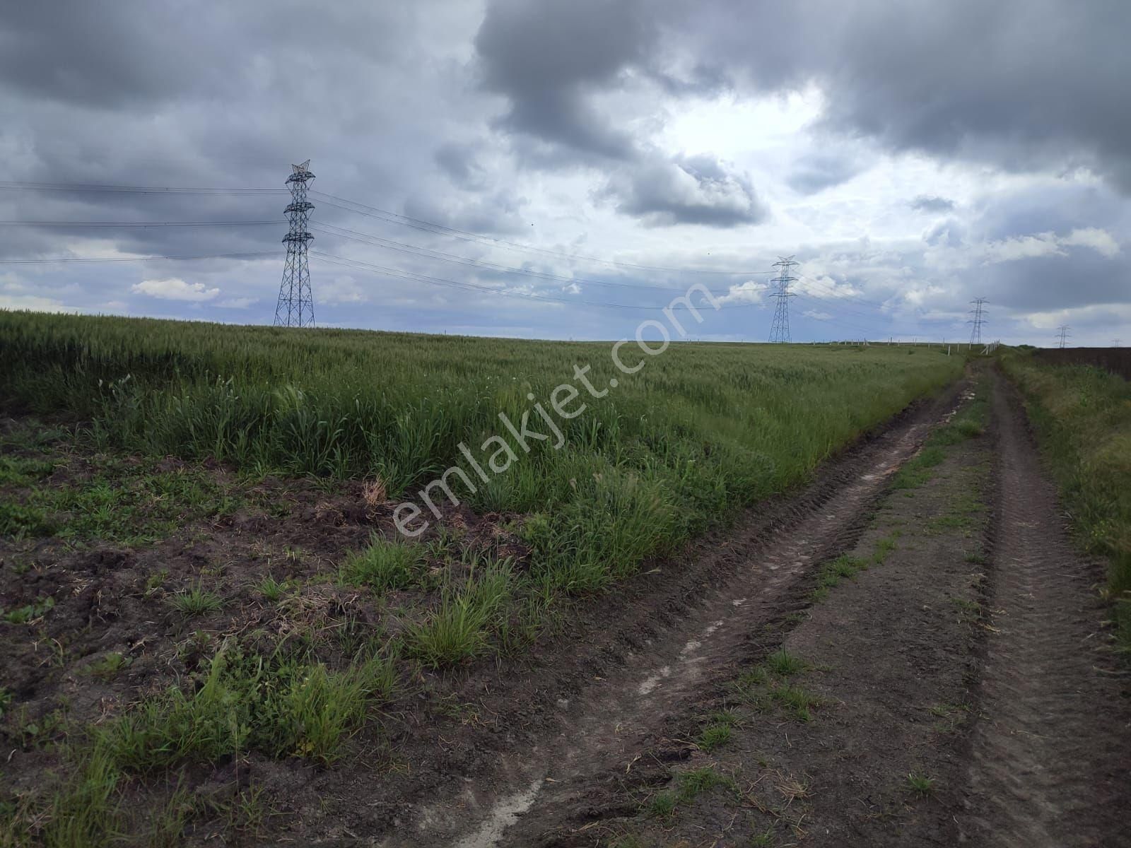 Sahibinden Satılık Arsa - Görsel 6