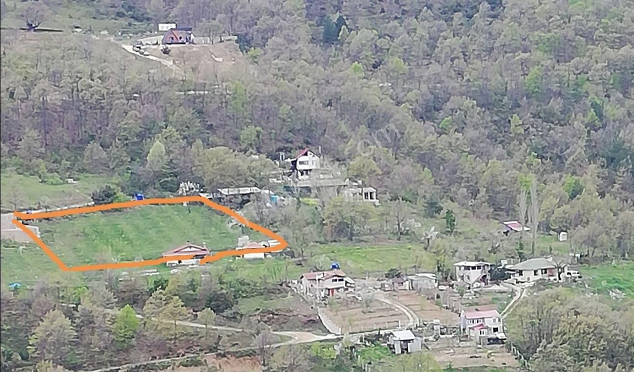 Nilufer Maksem Pinari Koy İci (45) +