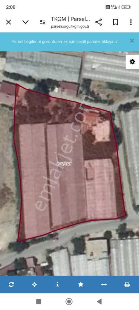 Patataya Yakın Kurulu Düzen 6 Dönüm Sera Ve 2 Katlı Ev