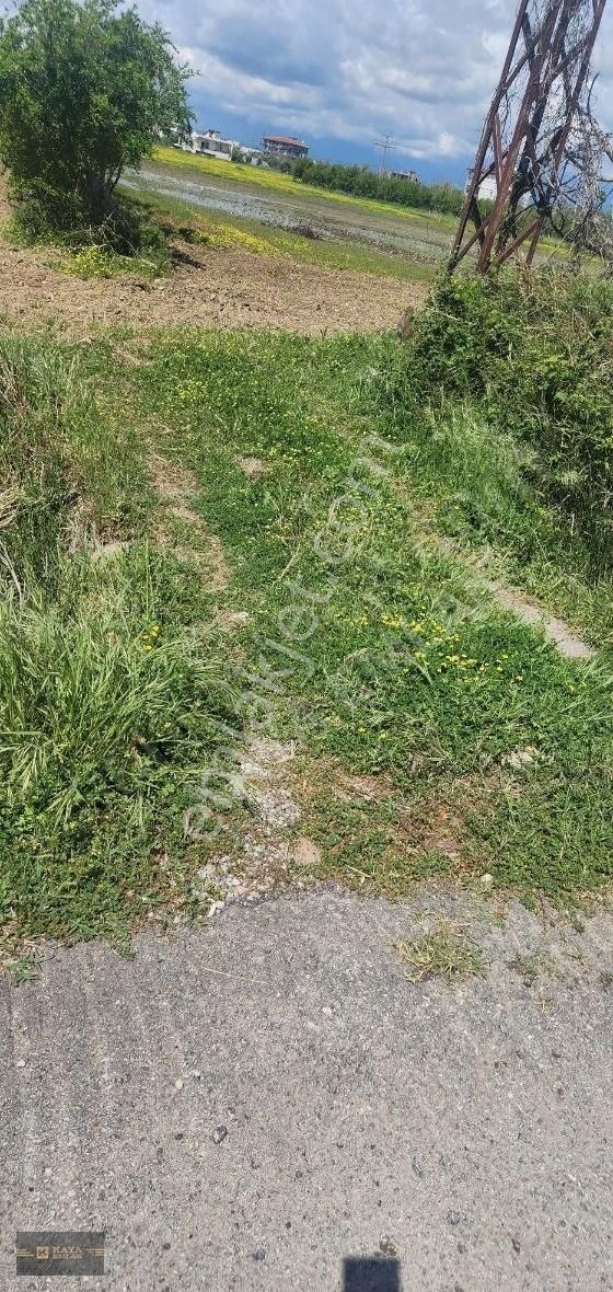 Manavgat Demircilerde 3. Dönüm Tek Tapu Tarla - Görsel 2