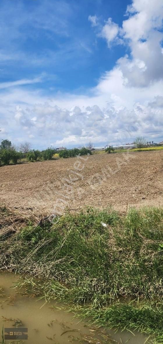 Manavgat Demircilerde 3. Dönüm Tek Tapu Tarla - Görsel 4