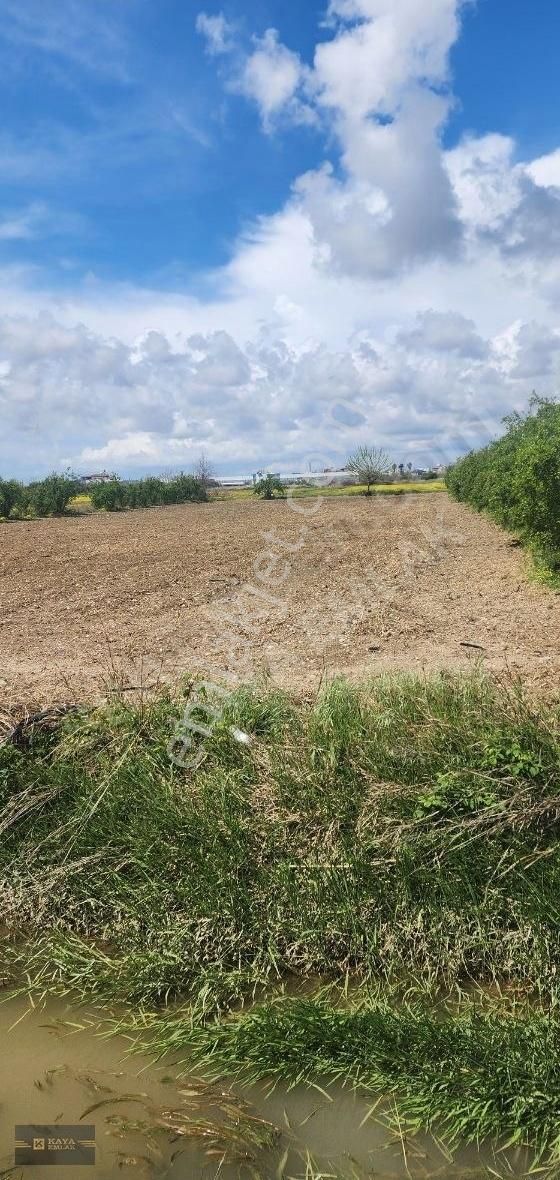 Manavgat Demircilerde 3. Dönüm Tek Tapu Tarla