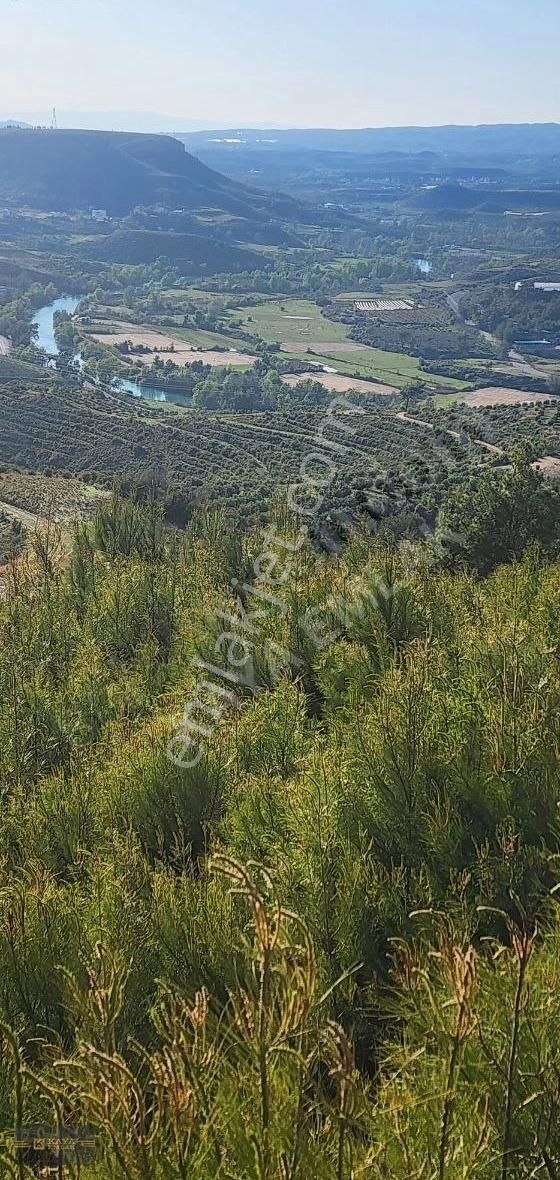 Kaya Emlaktan Aşağı Işıklarda 7500 M2 Tek Tapu Tarla - Görsel 6