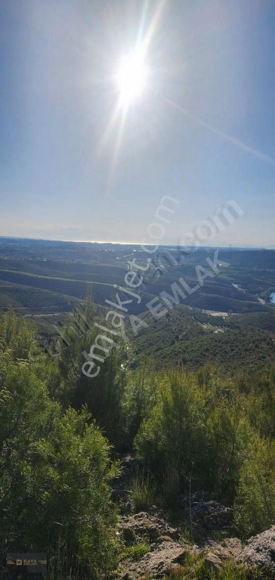 Kaya Emlaktan Aşağı Işıklarda 7500 M2 Tek Tapu Tarla - Görsel 13