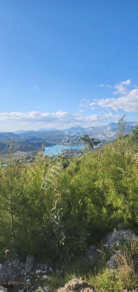 Kaya Emlaktan Aşağı Işıklarda 7500 M2 Tek Tapu Tarla