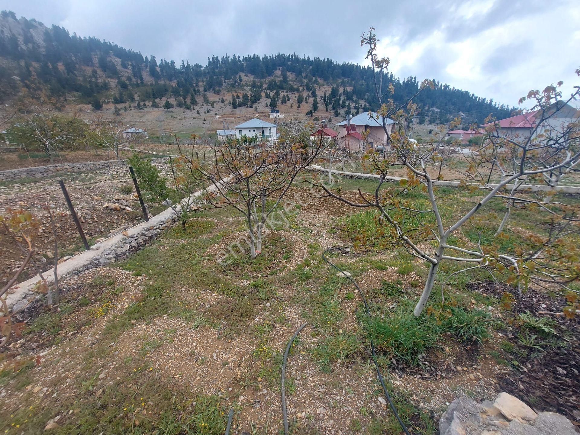 Anamur Kaş Yaylasında 704 Metrekare Arsa İçinde 2 Katlı Eşyalı Satılık Yayla Evi - Görsel 7