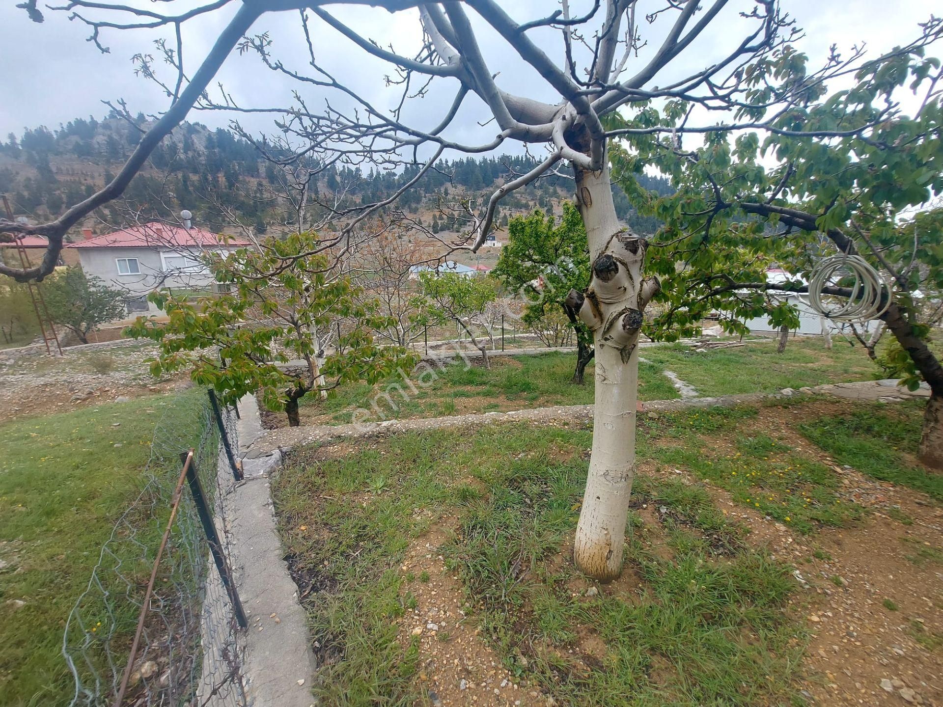 Anamur Kaş Yaylasında 704 Metrekare Arsa İçinde 2 Katlı Eşyalı Satılık Yayla Evi - Görsel 34