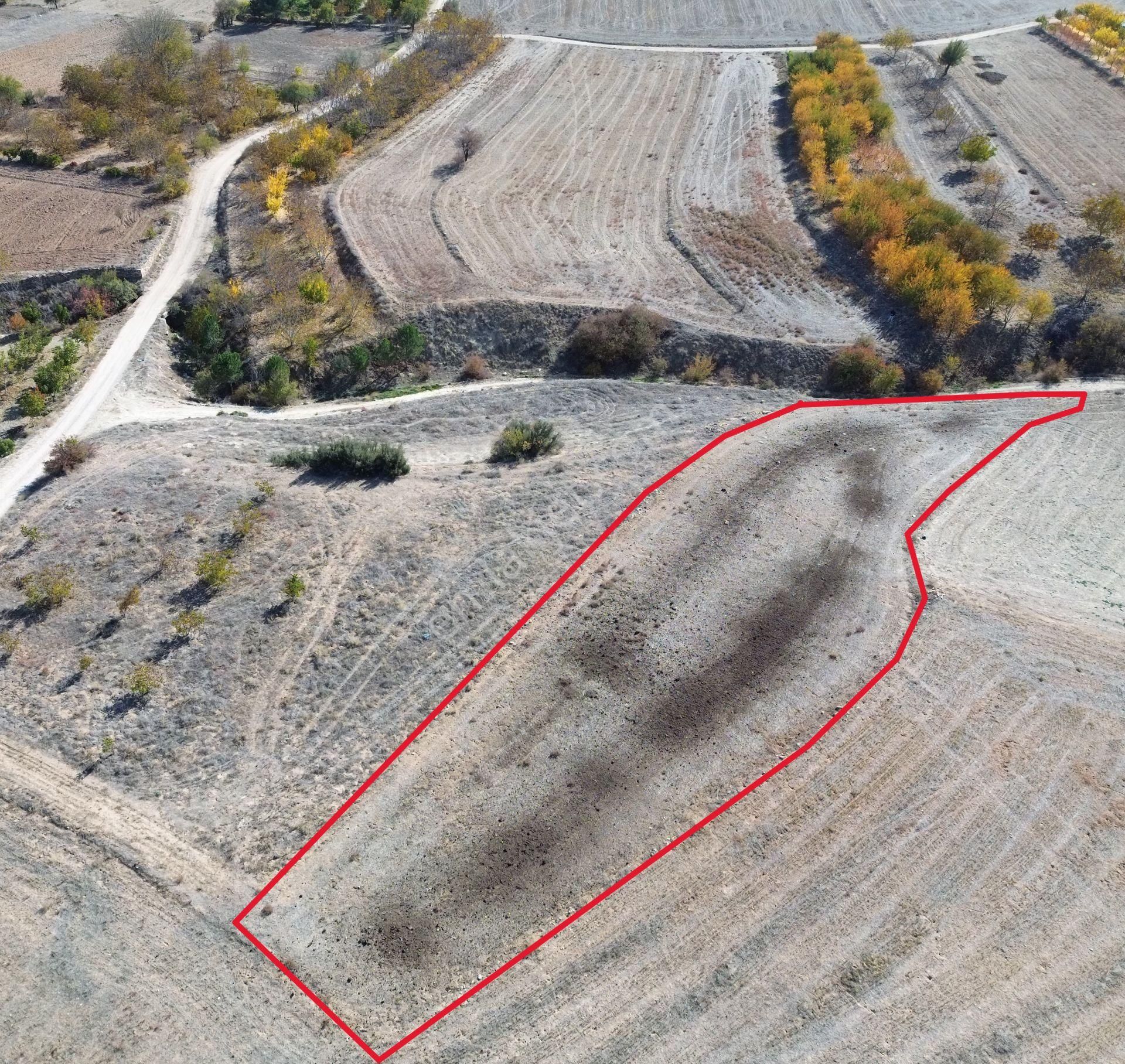 Yeltende Yolu Olan Satılık Tarlaa - Görsel 9