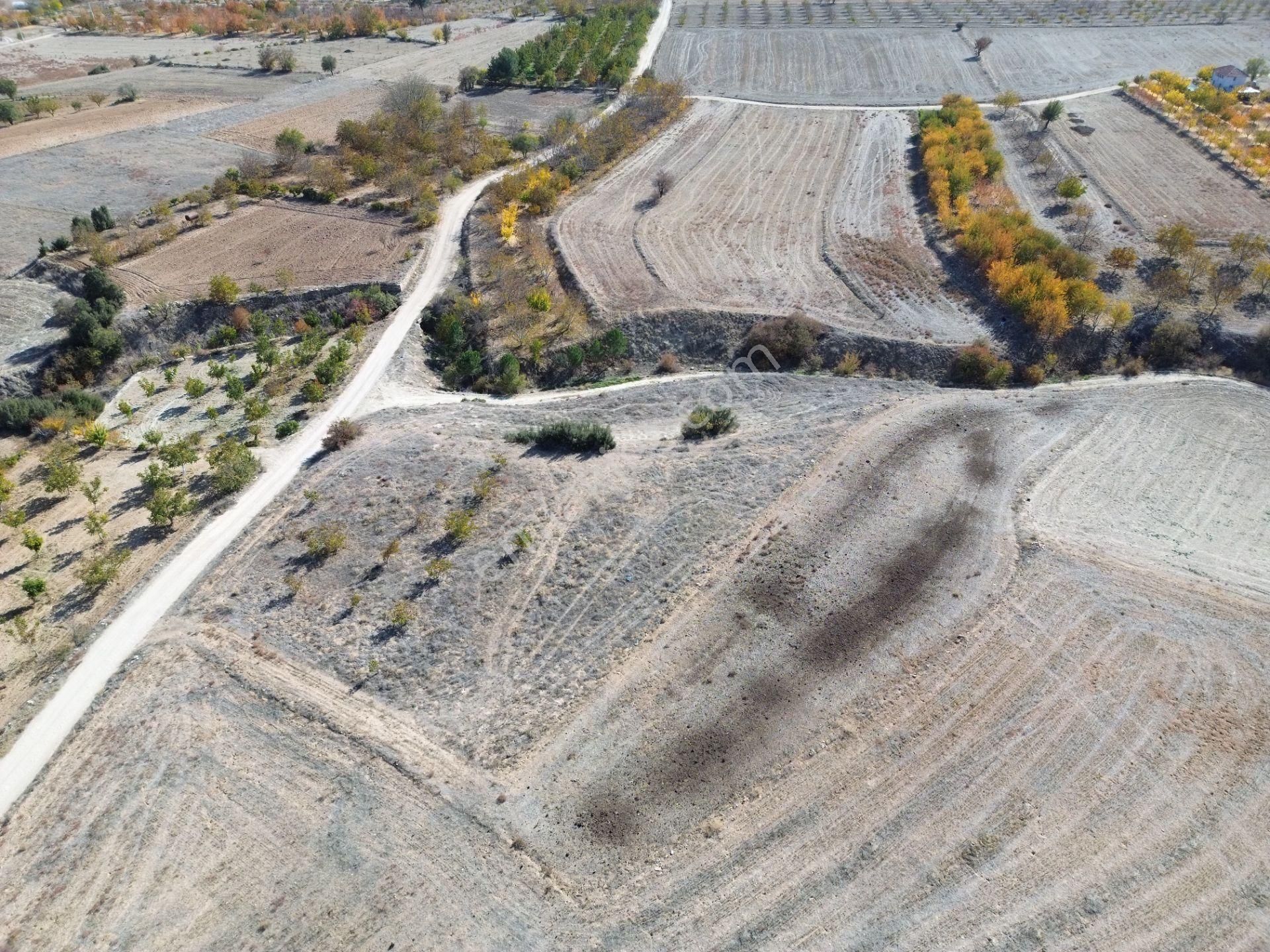 Yeltende Yolu Olan Satılık Tarlaa - Görsel 13