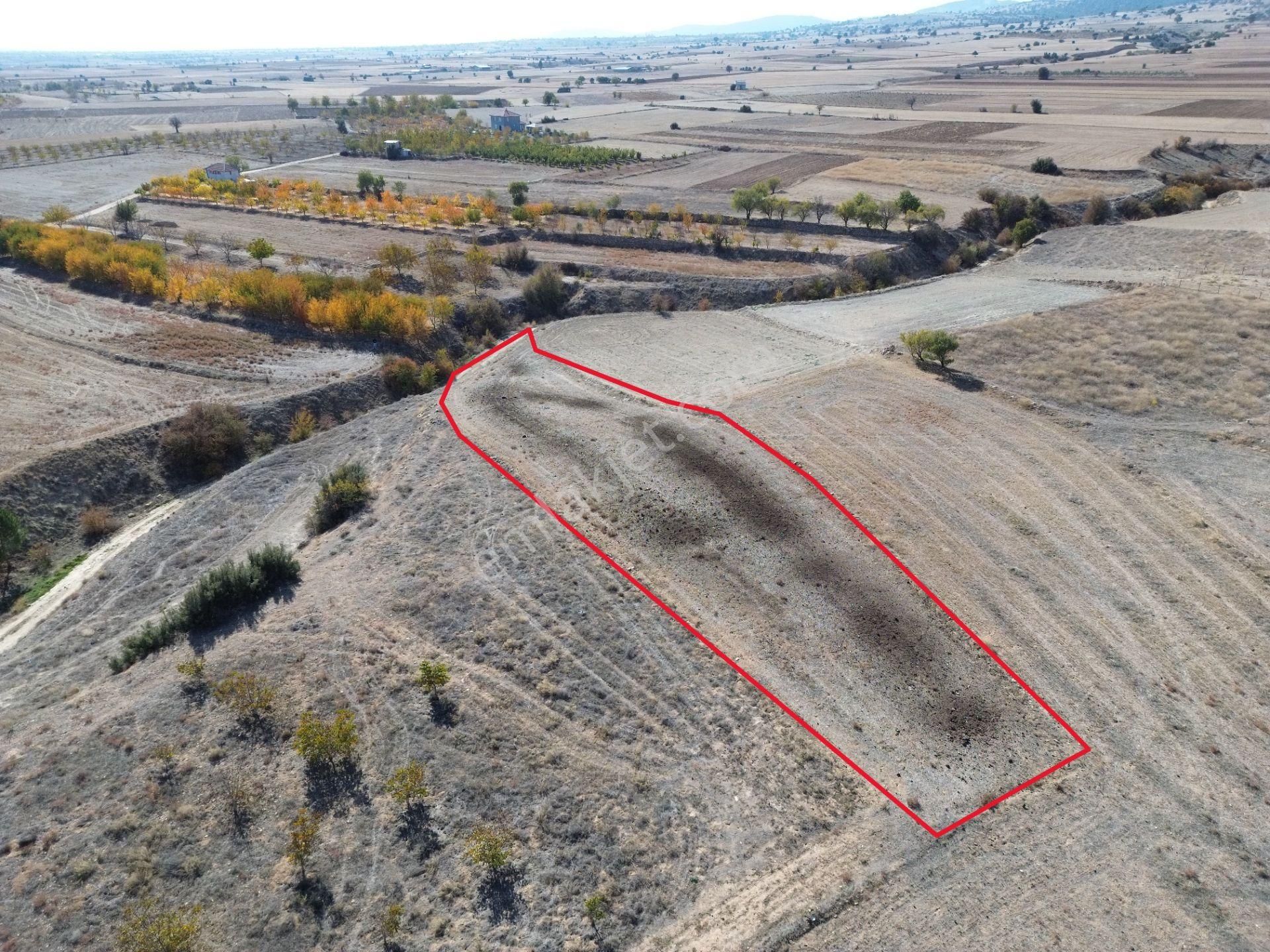 Yeltende Yolu Olan Satılık Tarlaa - Görsel 11