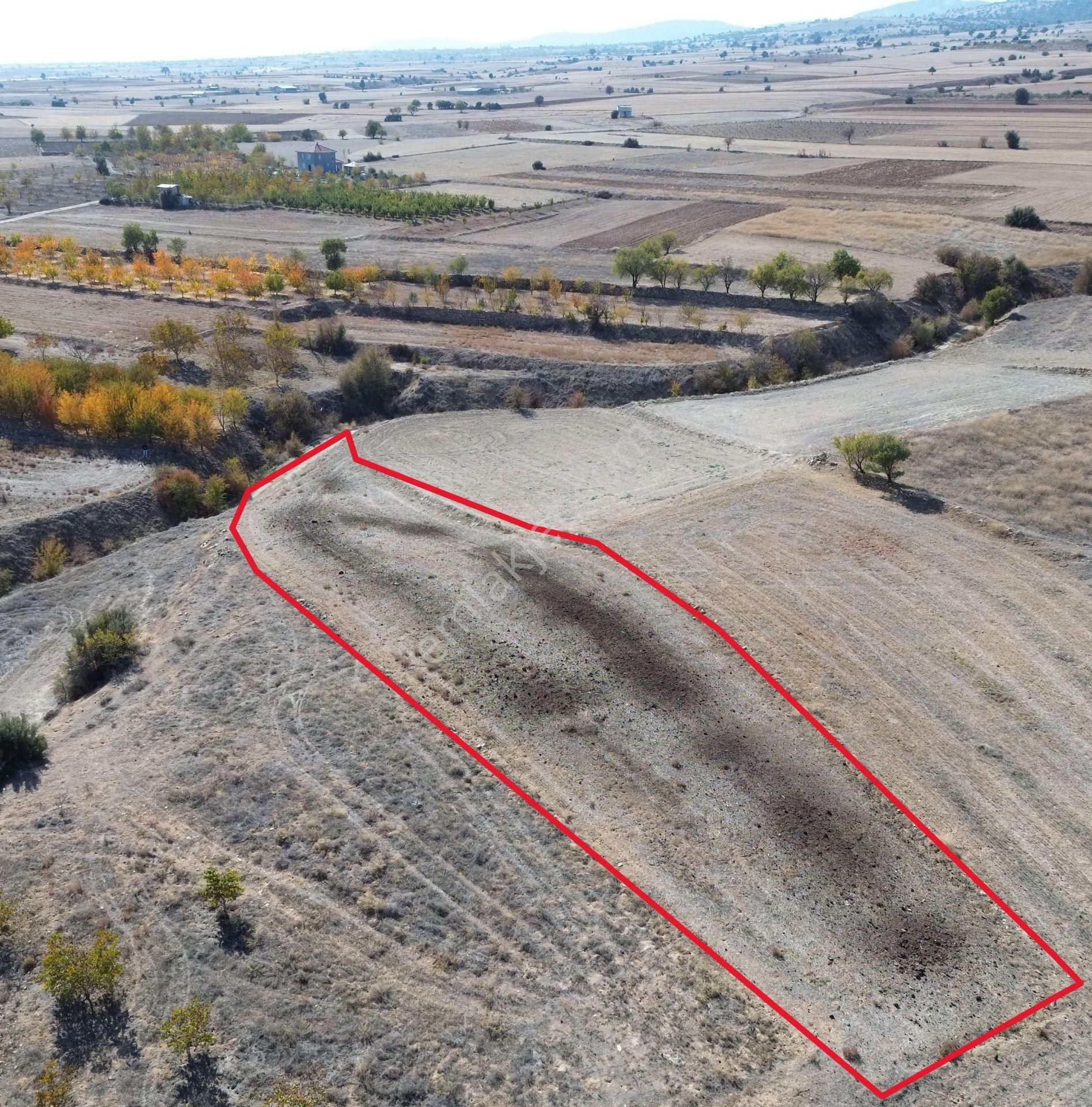 Yeltende Yolu Olan Satılık Tarlaa - Görsel 7