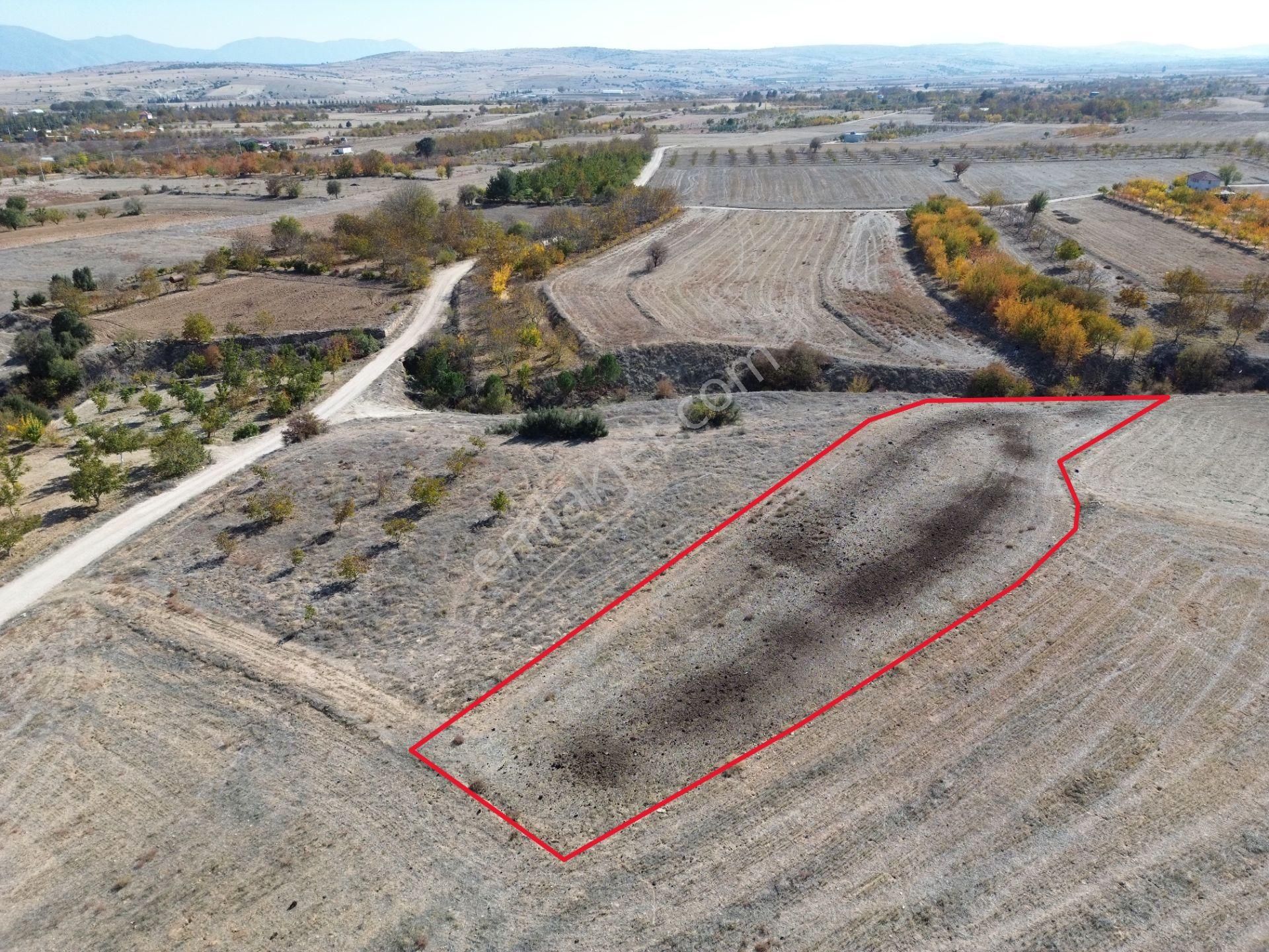 Yeltende Yolu Olan Satılık Tarlaa - Görsel 12