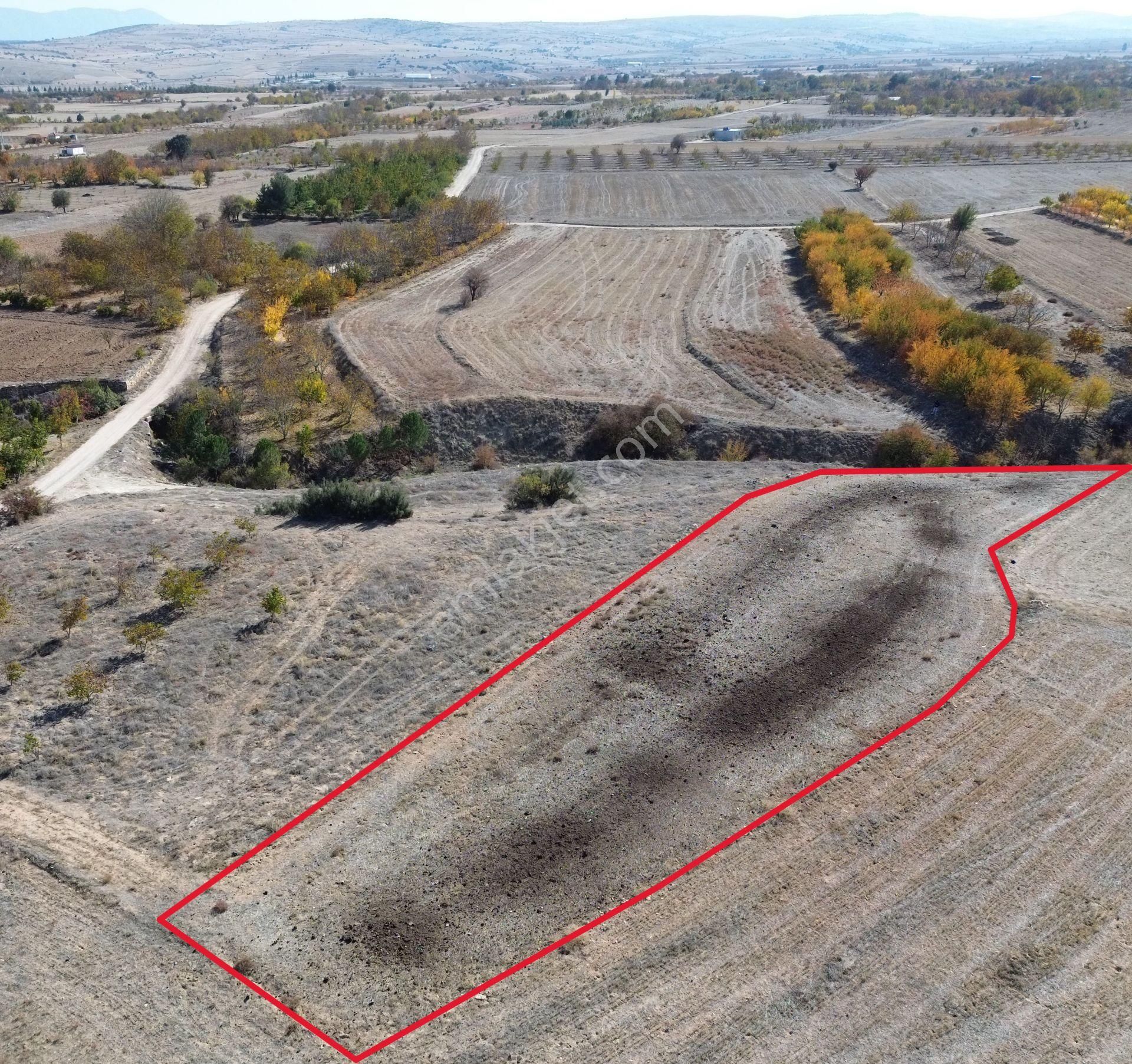 Yeltende Yolu Olan Satılık Tarlaa - Görsel 8