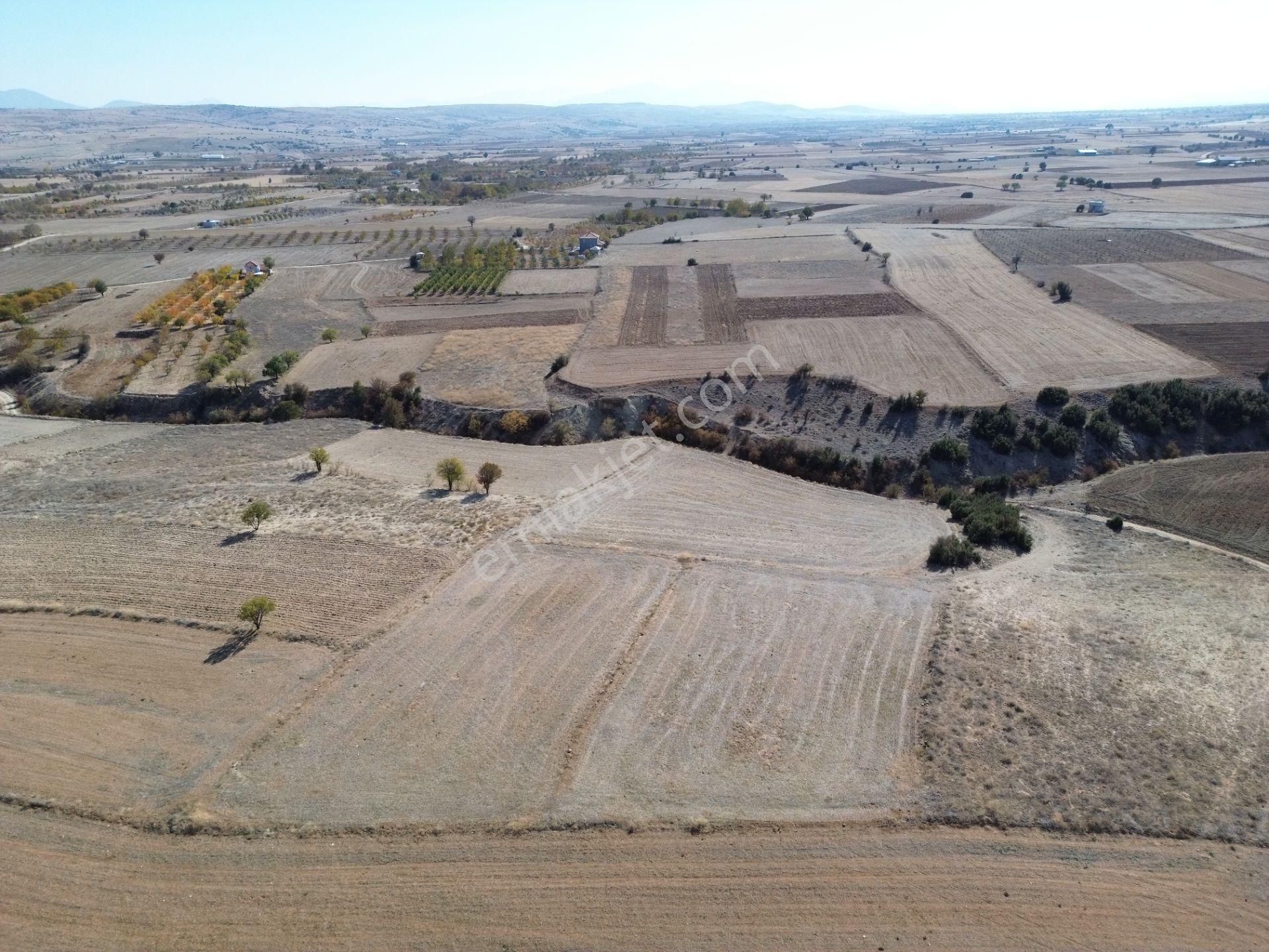 Korkuteli Yeltende Bahçe Yapımına Uygun Bölgede Olan Tarlaa - Görsel 8