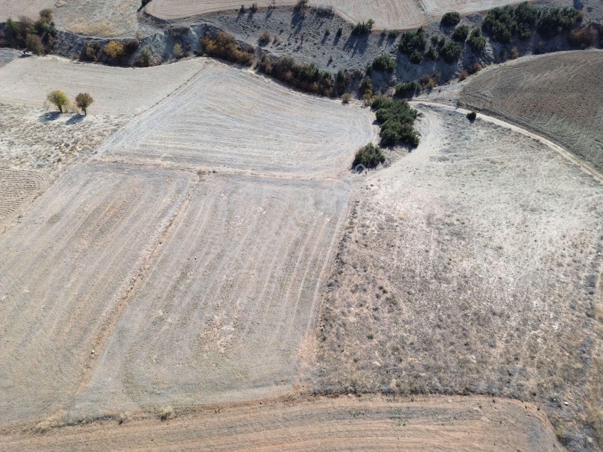 Korkuteli Yeltende Bahçe Yapımına Uygun Bölgede Olan Tarlaa - Görsel 9