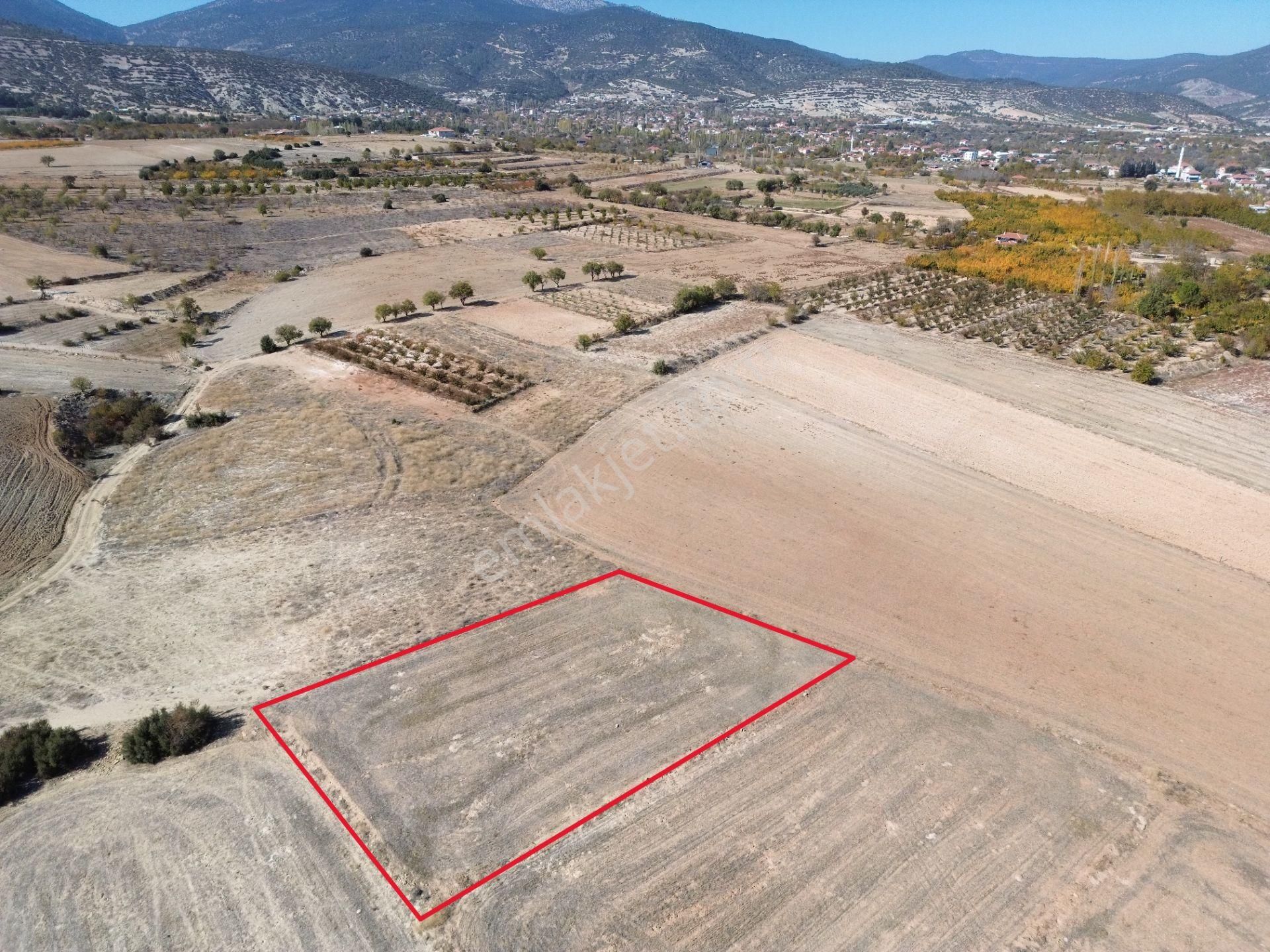 Korkuteli Yeltende Bahçe Yapımına Uygun Bölgede Olan Tarlaa - Görsel 2