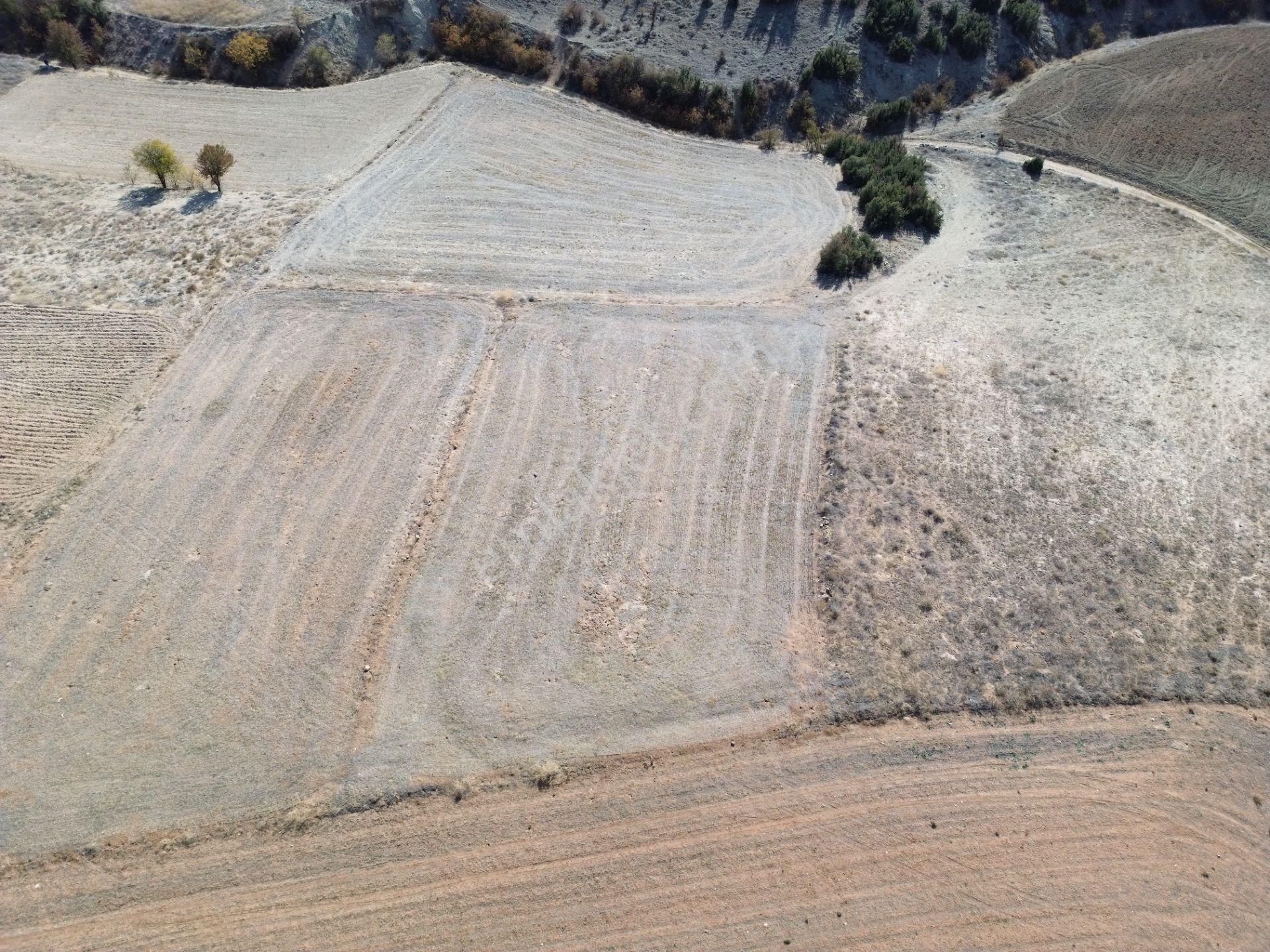 Korkuteli Yeltende Bahçe Yapımına Uygun Bölgede Olan Tarlaa - Görsel 7