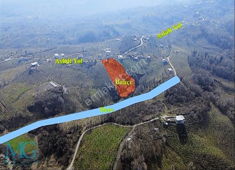 Sakarya Çaybaşı Tepe Mah. Yapı Kayıt Belgeli Fındık Bahçesi