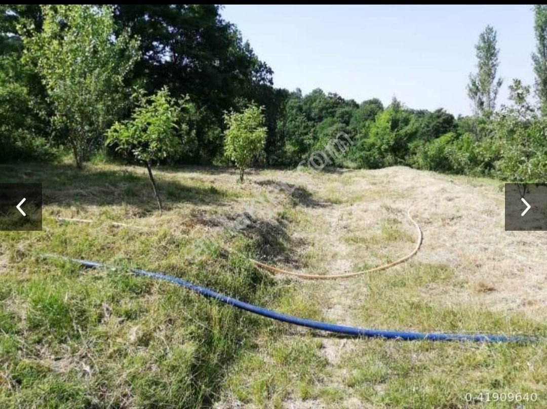 Bursa Osman Gazi Sakarya Mahalesihiseli Tapu 150 M(48) +
