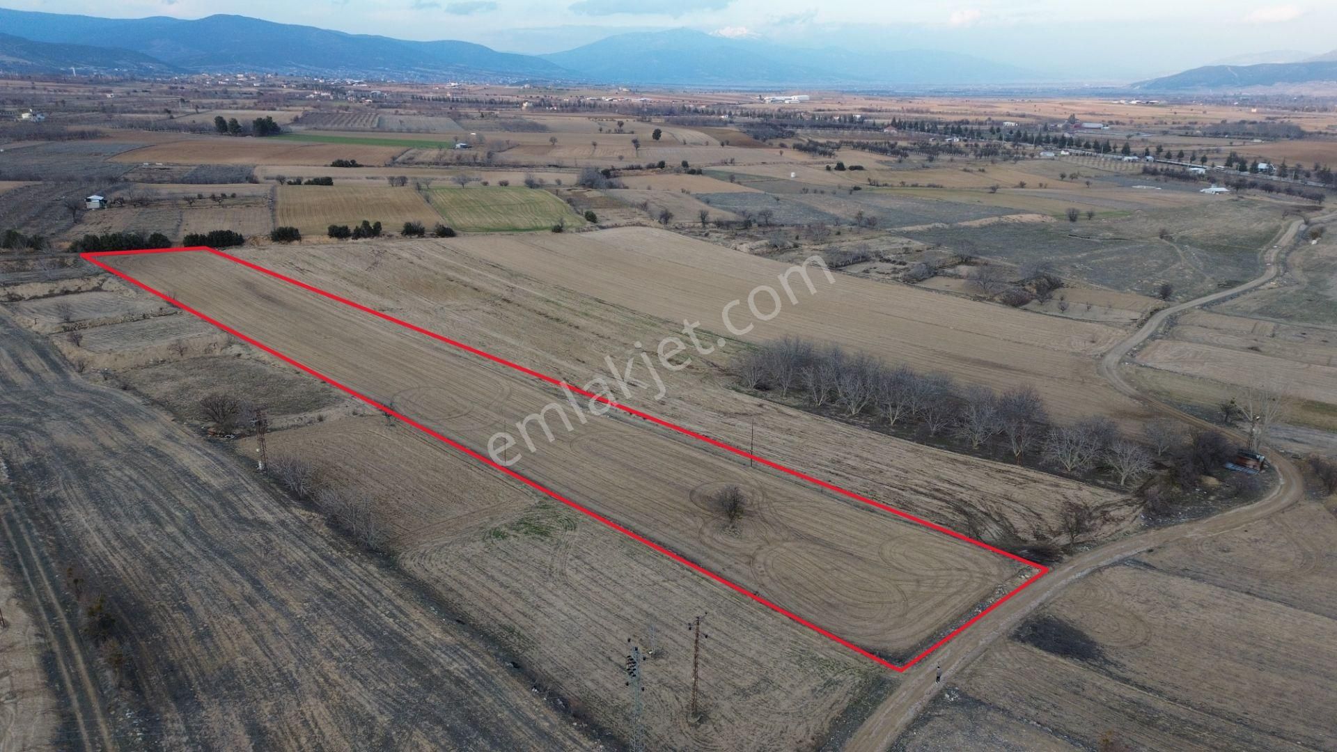 Korkuteli Yeltende Satılık Sulama Sahası İçinde 6973 M2 Tarla - Görsel 7