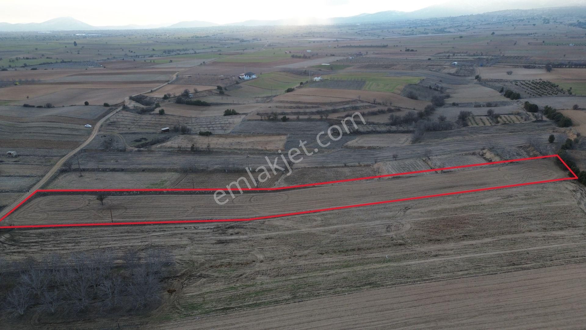 Korkuteli Yeltende Satılık Sulama Sahası İçinde 6973 M2 Tarla - Görsel 6