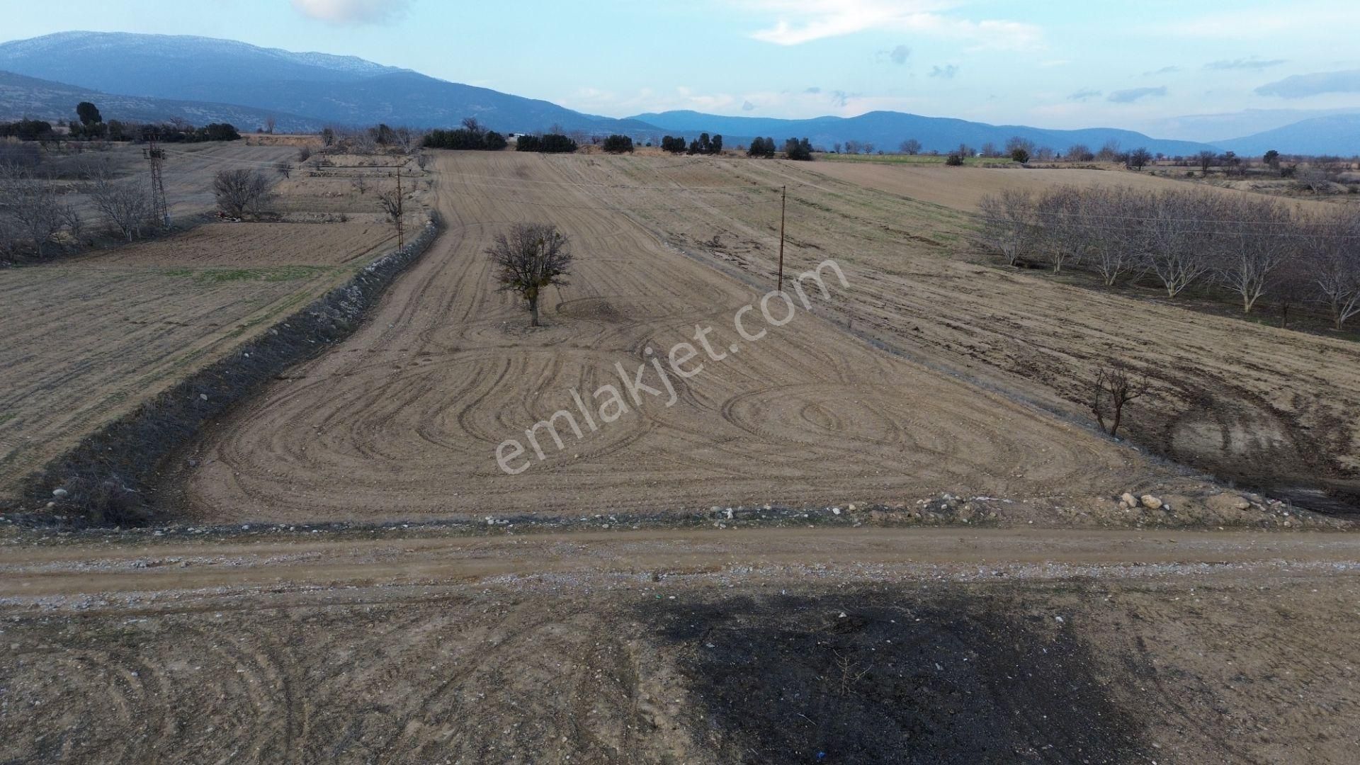 Korkuteli Yeltende Satılık Sulama Sahası İçinde 6973 M2 Tarla - Görsel 2