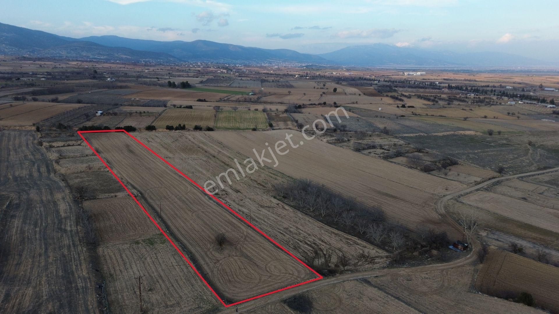 Korkuteli Yeltende Satılık Sulama Sahası İçinde 6973 M2 Tarla - Görsel 3