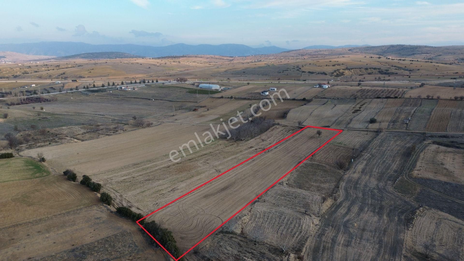 Korkuteli Yeltende Satılık Sulama Sahası İçinde 6973 M2 Tarla - Görsel 5