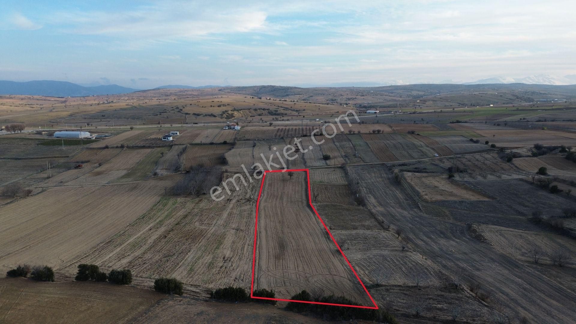 Korkuteli Yeltende Satılık Sulama Sahası İçinde 6973 M2 Tarla - Görsel 4