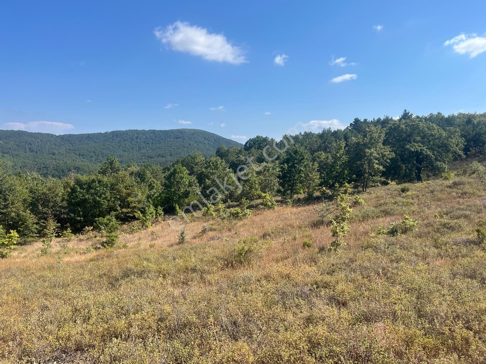 Satılık 7586 M² Arazi–kazdağları’nda,orman Yolunda,yenice Karadoru Köyü