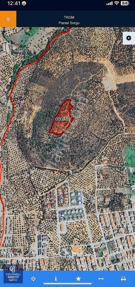 Edremit Kızılkeçili Satılık Zeytinlik - Görsel 4