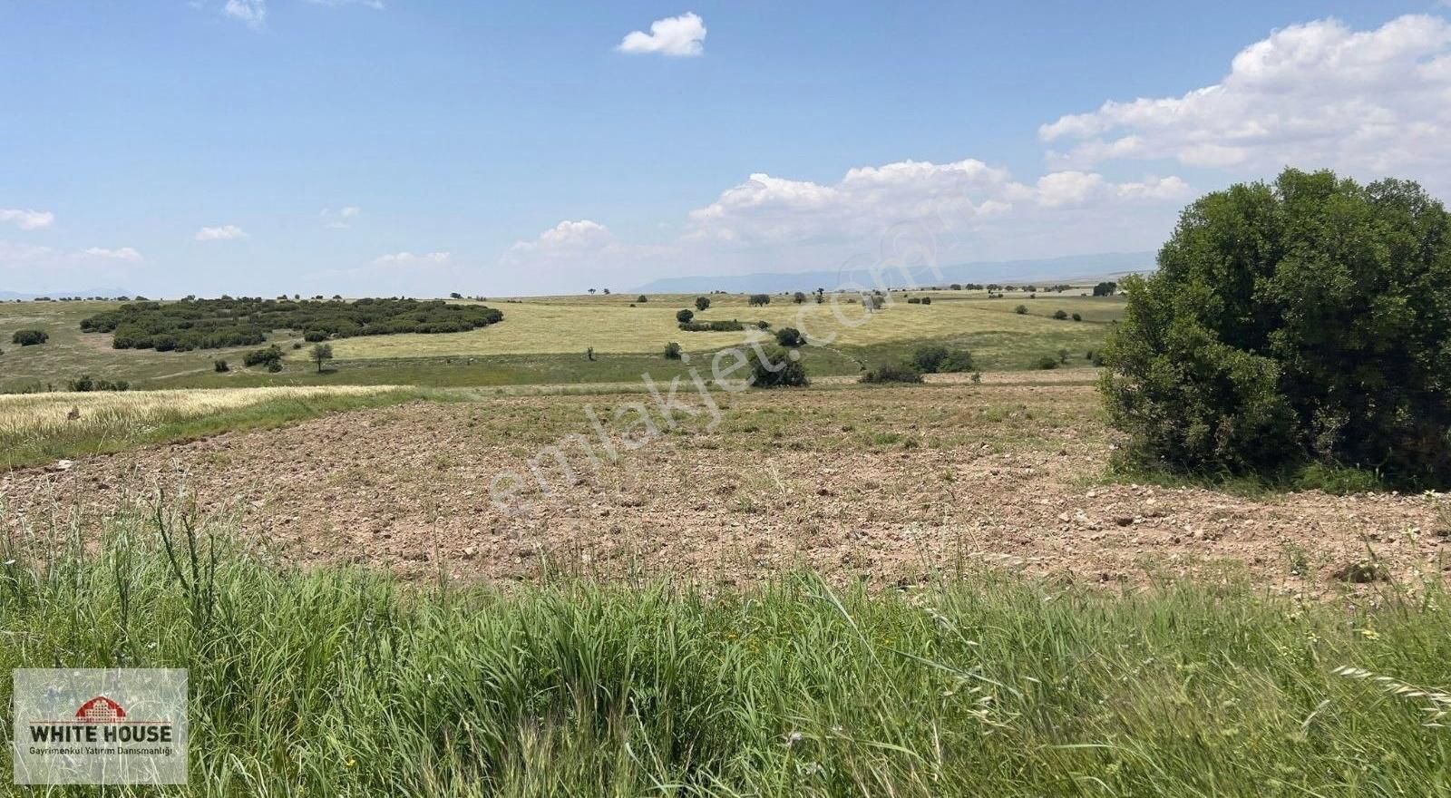 Dinar - Gençeli Mah. 22.710 M2 Tarla Yolu Var 1.950.000 Tl