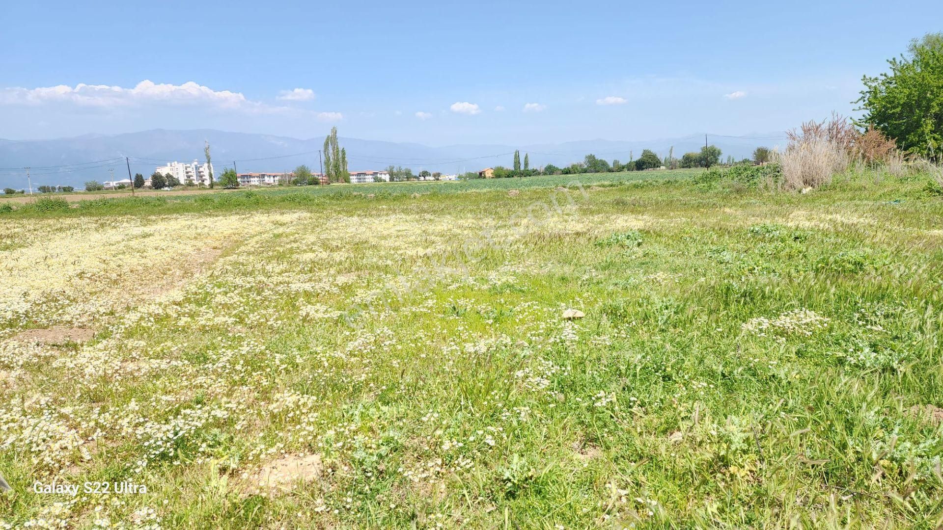 Balıkesir Burhaniye Örende Satılık 5 Parsel Arsa