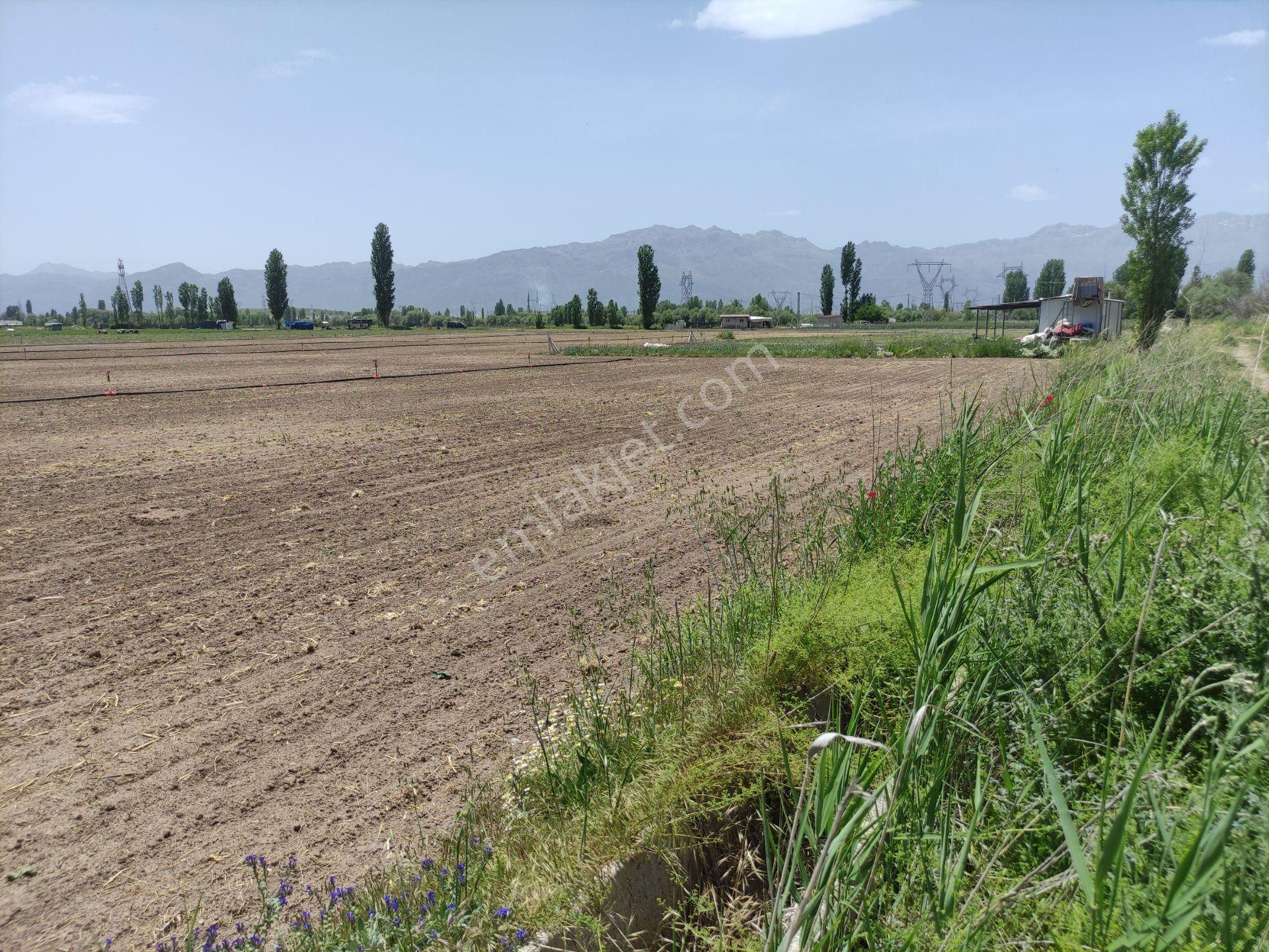 Konya Seydişehir Boyalı Mah.satlık Sulu Tarla 6045 M2.antalya Yolu 600 Myol Kıyısı