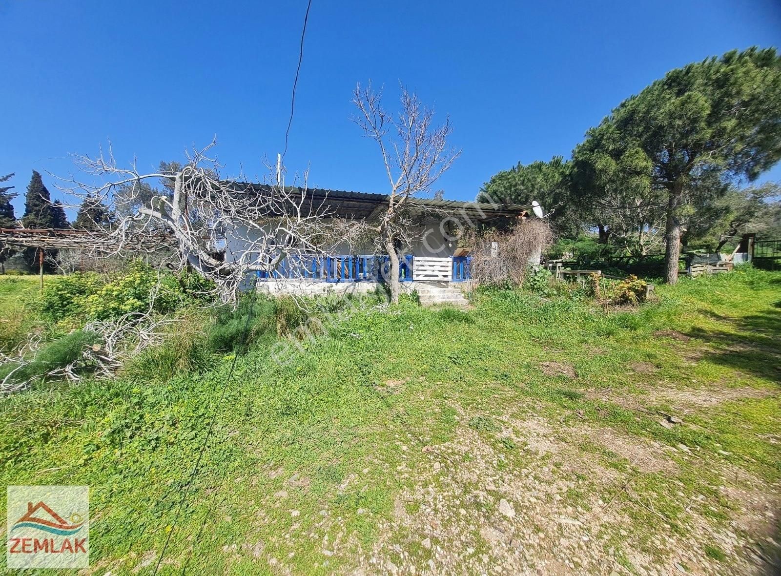 Bodrum Dereköy De Müstakil Geniş Bahçeli Tek Katlı Köy Evi