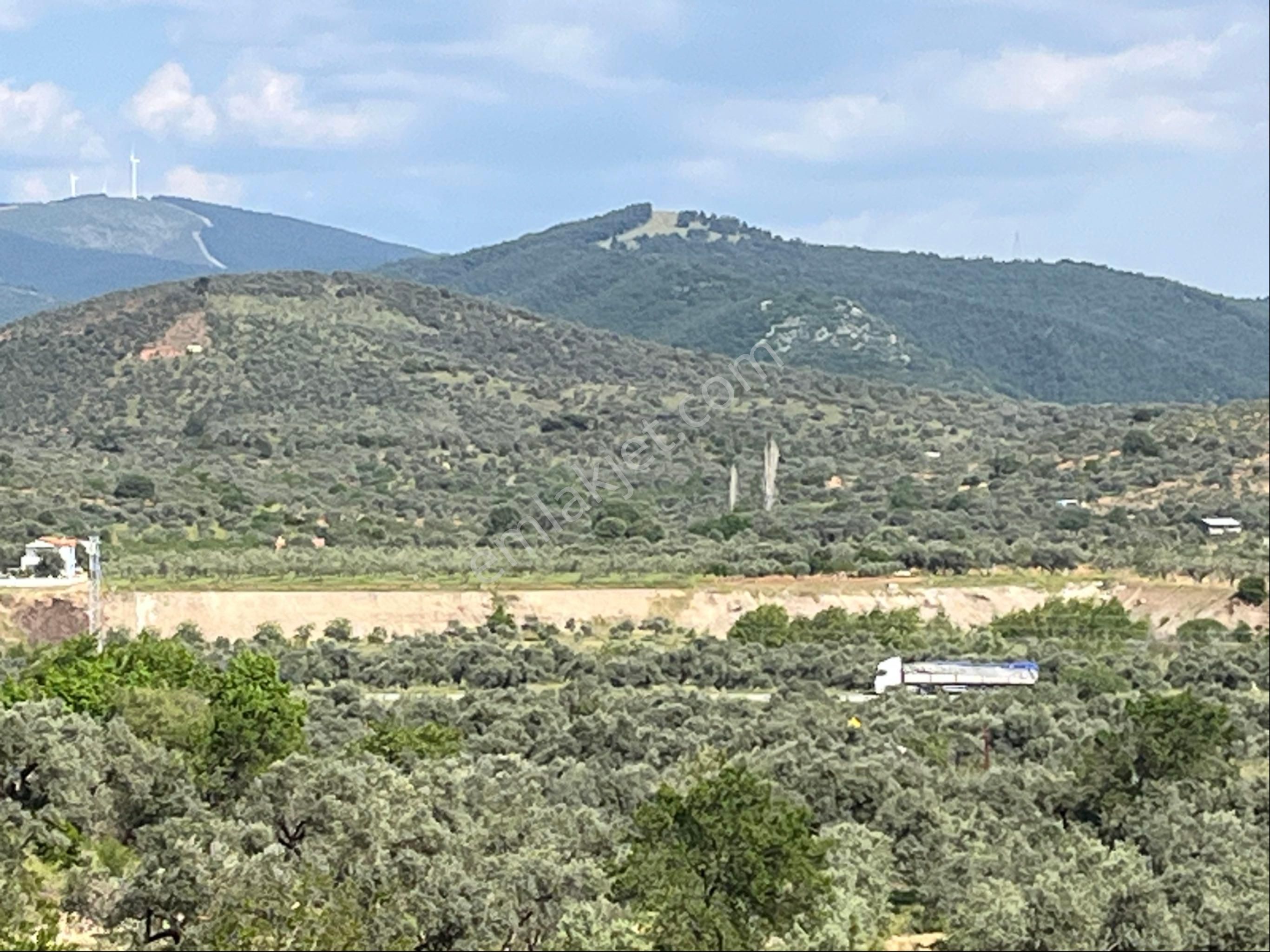 Torbalı Çakırbeyli Mah 719 M2 Satılık Bağ Ve Zeytinlik