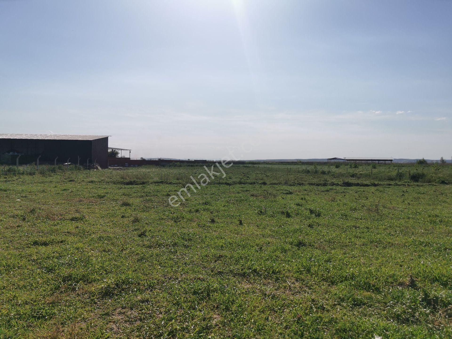 Karacabey Yenisarıbey Köyü Merkezinde Kaçırılmayacak Fırsat!!! - Görsel 2