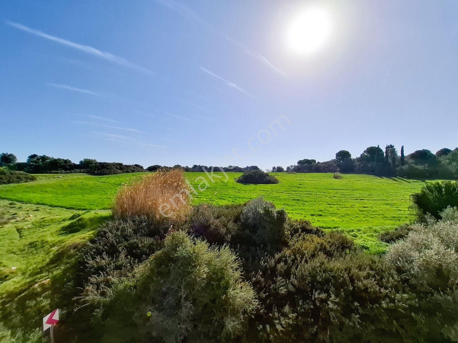 Didim Altınkumda Satılık Denize 450 Mt. 4+1 Geniş Teraslı Köşe Dublex - Görsel 12