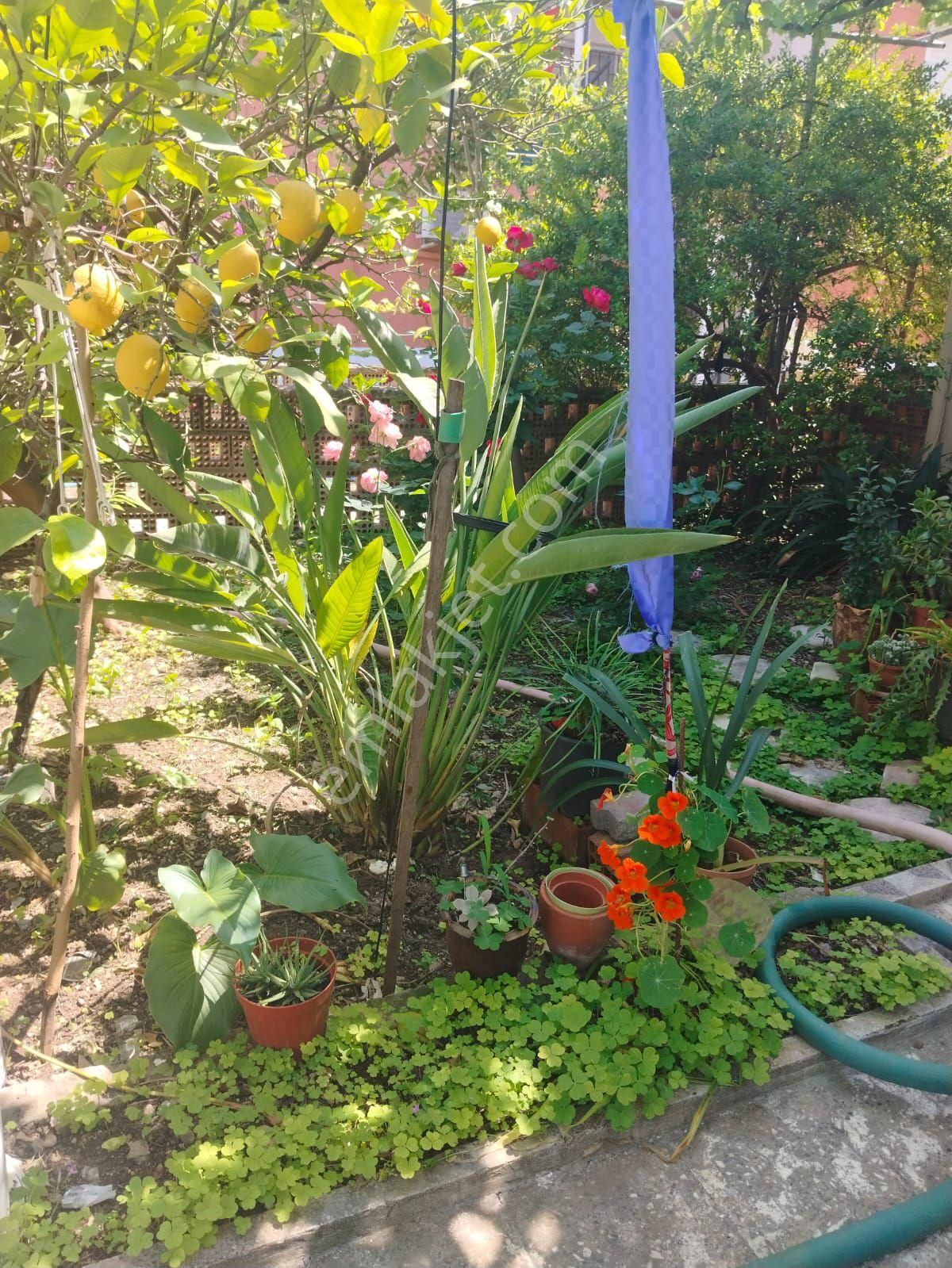 Müstakil İkiz Ev Ortaca Cumhuriyet Mahallesi - Görsel 2