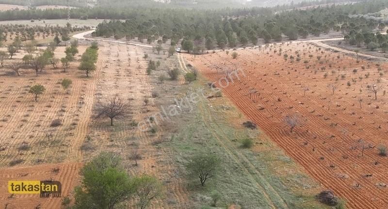 Suboğazı Orman Manzaralı Bağevi Ve Yatrmlık Sınırlı Sayıda Arazi