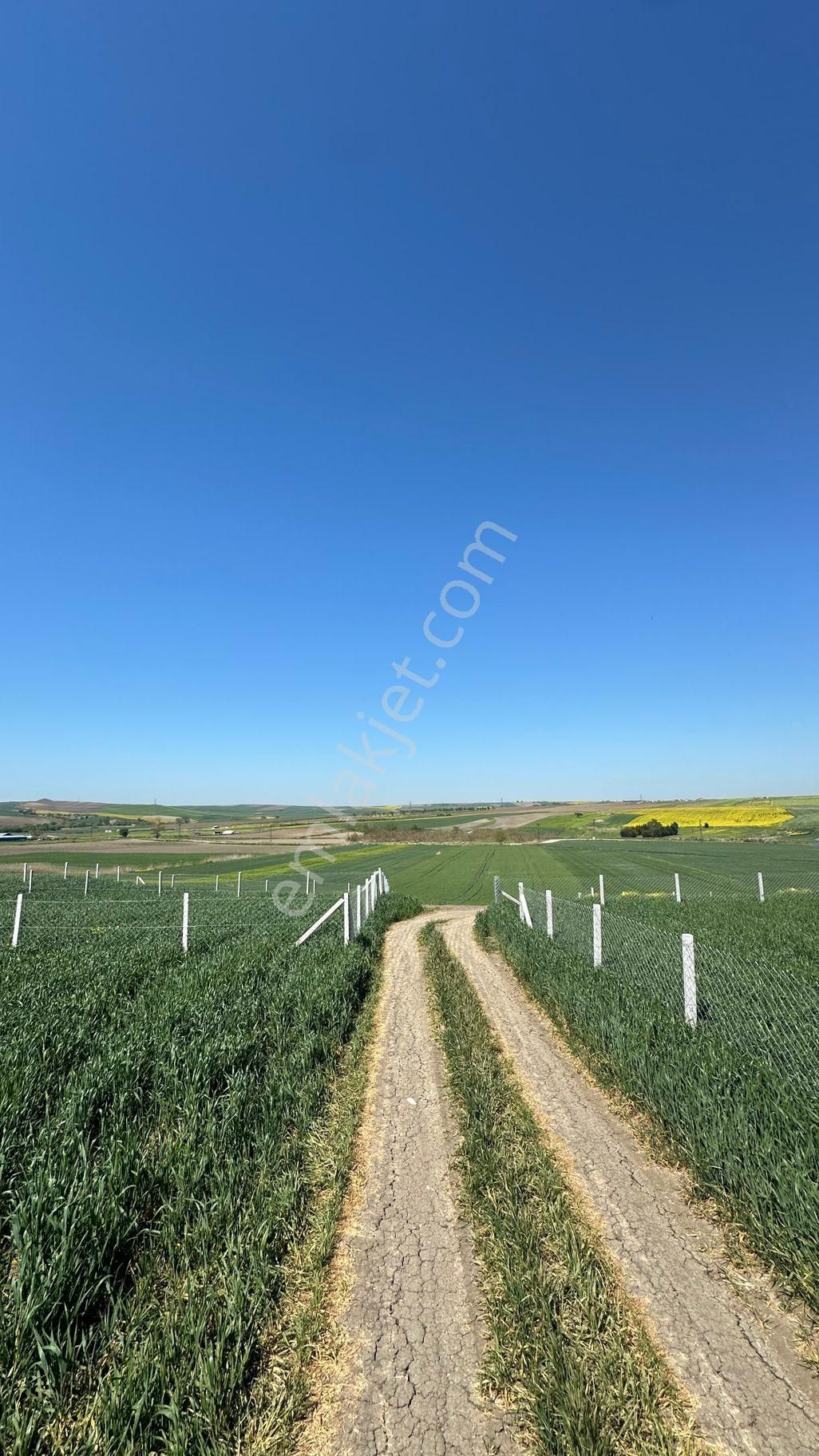 Silivri Değirmenköy 260 M2 Tarla