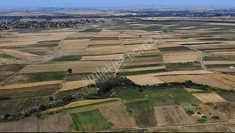 Kırklareli Lüleburgaz 2950 M2 Tek Tapu Tarla